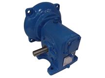 13GCT-R-56C by REGAL REXNORD