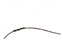 LAPP USA 4520012-FT