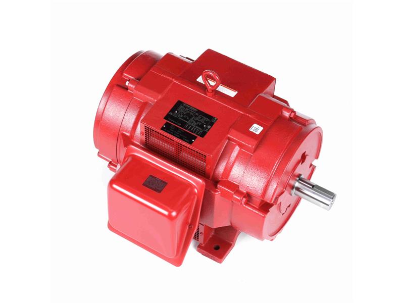 REGAL REXNORD 324TSTDP4010