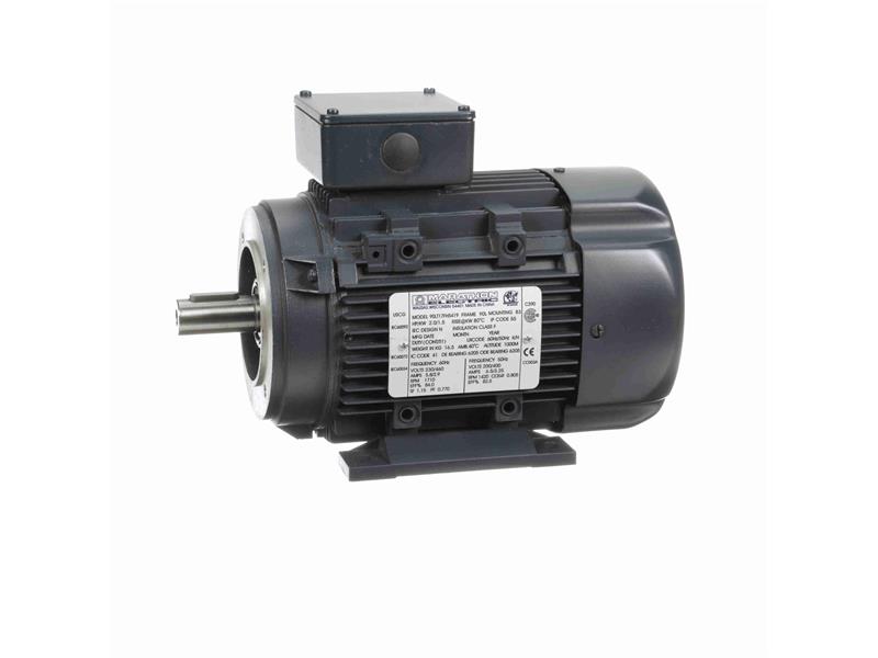 REGAL REXNORD 090LT17FH5419