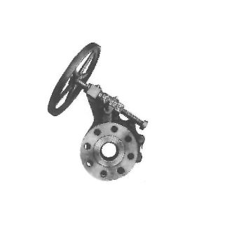 EVERLASTING VALVE CO 4060S-57