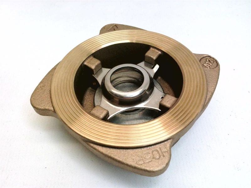 SPIRAX SARCO DCV1-DN25