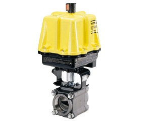 FLOWSERVE WO10755W120A