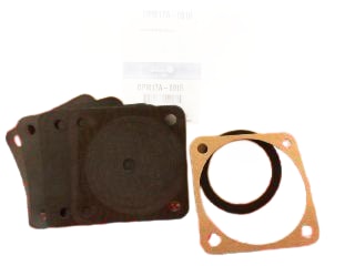 JOHNSON CONTROLS DPM17A-601R