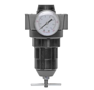 MASTER PNEUMATICS MP-R100-2