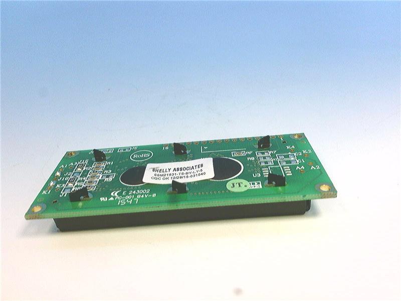 SHELLY SSM21631-TS-BY-LY-5