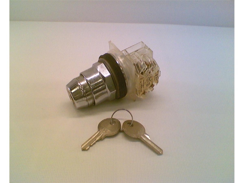 SCHNEIDER ELECTRIC 9001KS11K3H13R