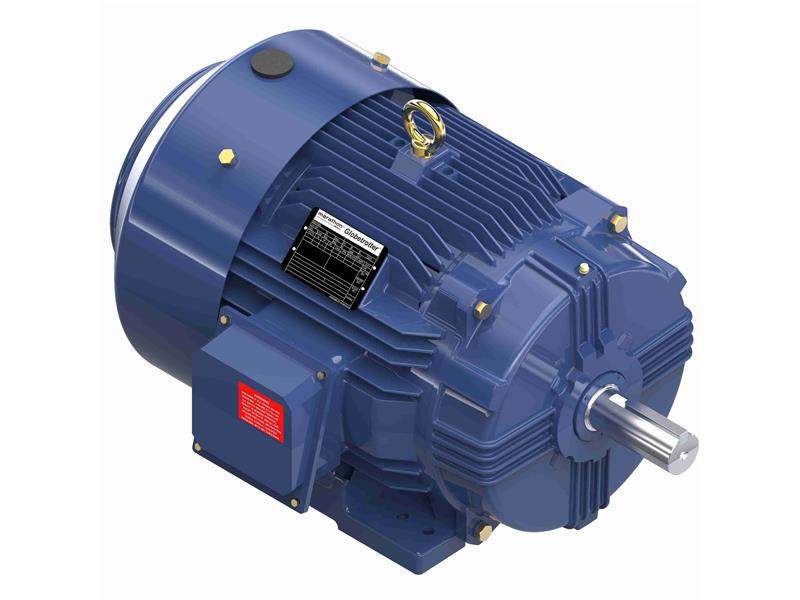 REGAL REXNORD 286TTFCD6080