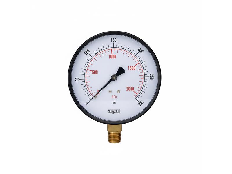 NOSHOK 40-300-1000-PSI/BAR-CFF