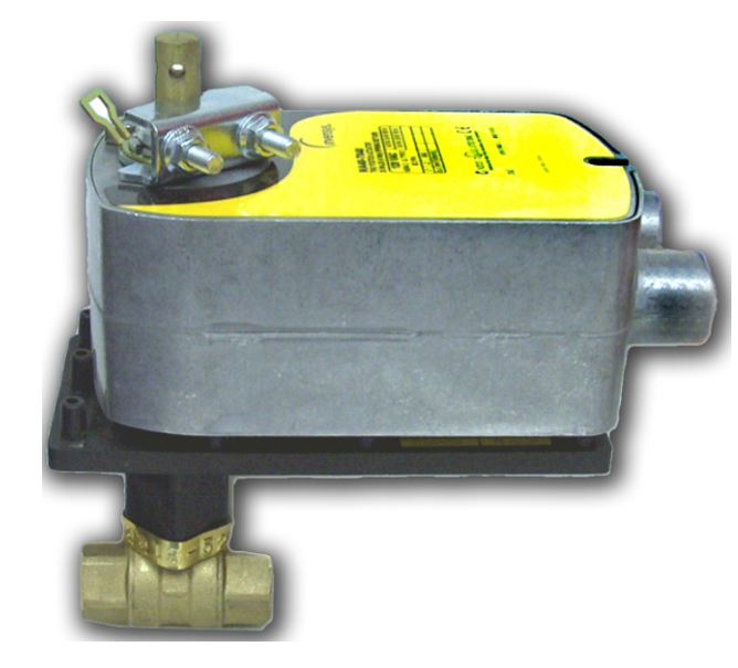 ADVANTAGE CONTROLS ABS-1