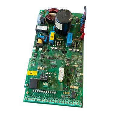 BIAMINO & FIGLI S.P.A. 1430300165