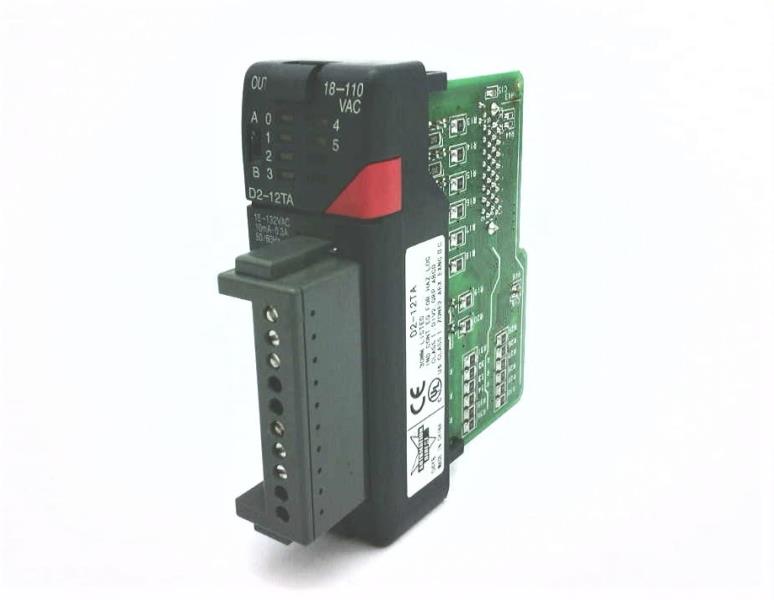 AUTOMATION DIRECT D2-12TA