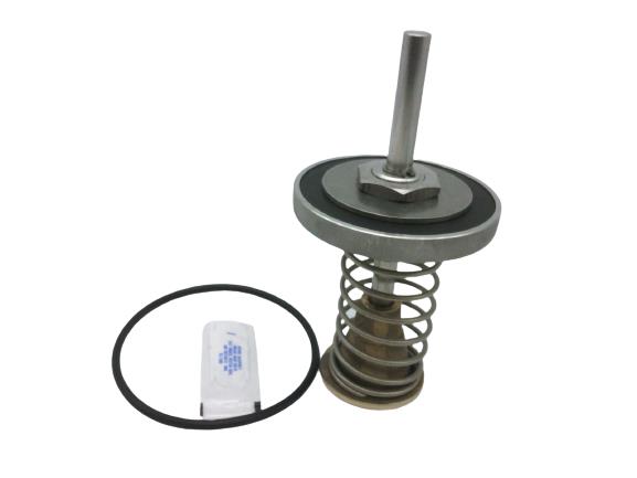 WATTS LFRK-909-CK2-2-1/2-3