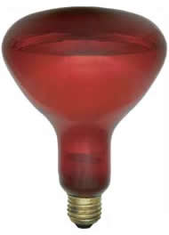 DAMAR 250R40/10 RED 220-240V E27