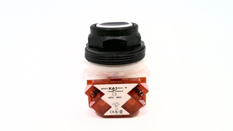 SCHNEIDER ELECTRIC 9001-SKR1BH6