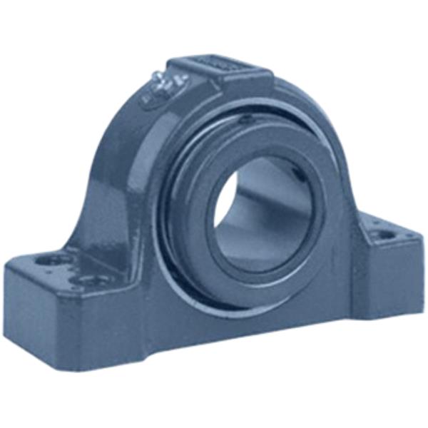 ASEA BROWN BOVERI P2B-S2-207L