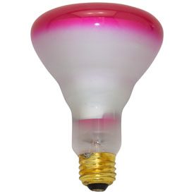 DAMAR 65BR30FL/PK PINK