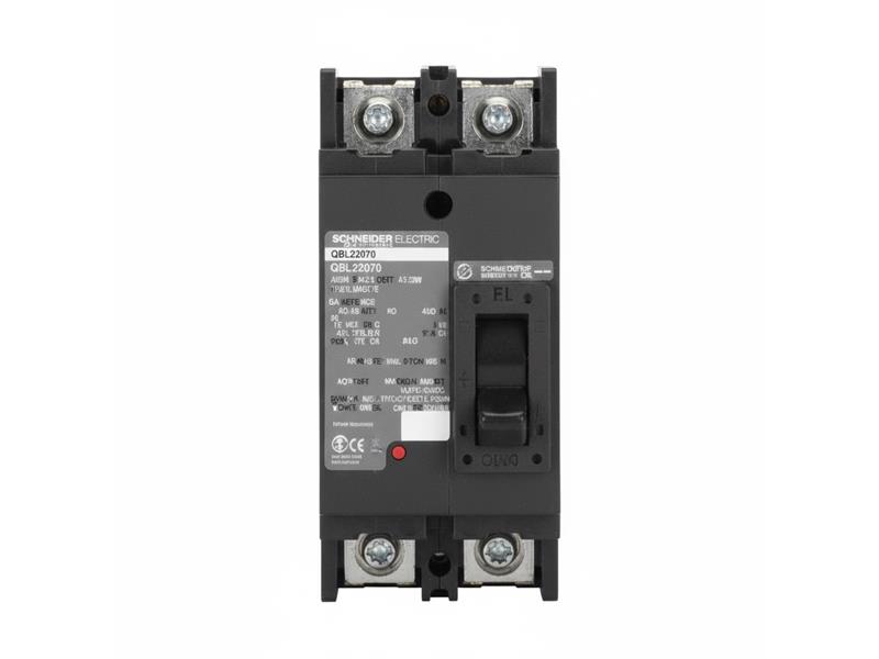 SCHNEIDER ELECTRIC QBL22070