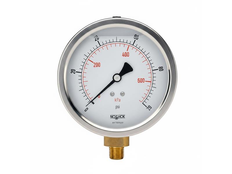 NOSHOK 25-901-10-BAR/PSI-G1/4-BP3