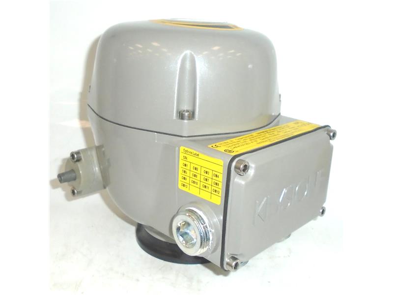 E006A0W5000 by EMERSON