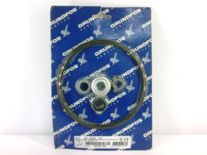 GRUNDFOS CRN2/4-SF-AUUE/V-D