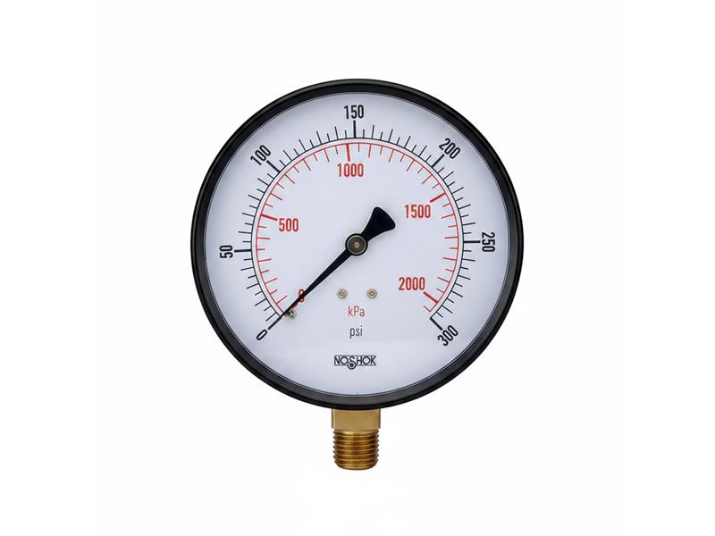 20-110-100-PSI/KPA-1/8-PMC-CC by NOSHOK