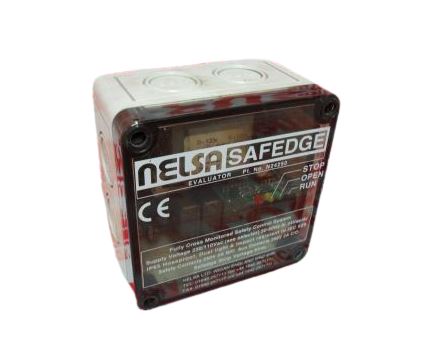 NELSA INC N24250