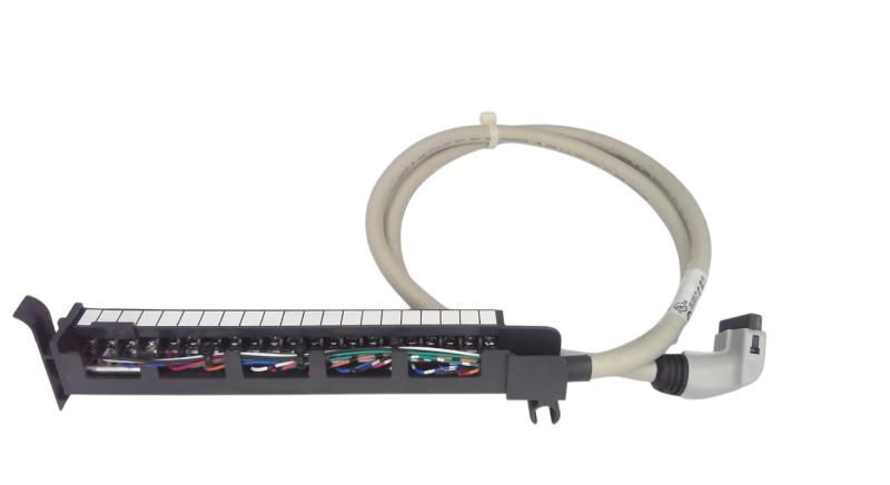 ALLEN BRADLEY 1492-CABLE010F