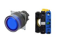 OMRON A22NL-BGM-TAA-G100-AC