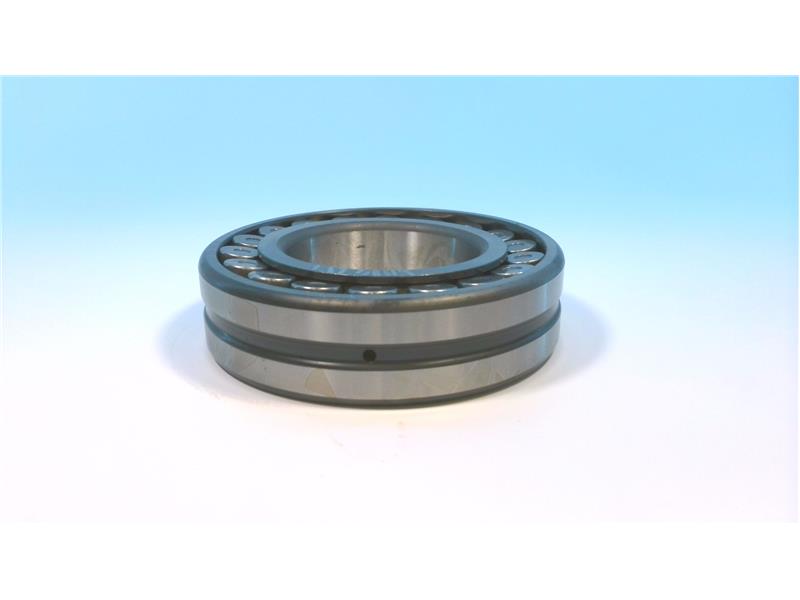 REGAL REXNORD SB 22213 W33 SS