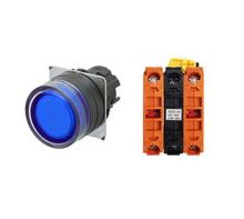 OMRON A22NL-BGM-TAA-G202-AC