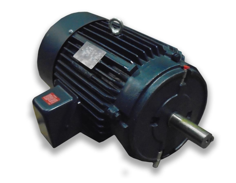 REGAL REXNORD 284TTFCA4026