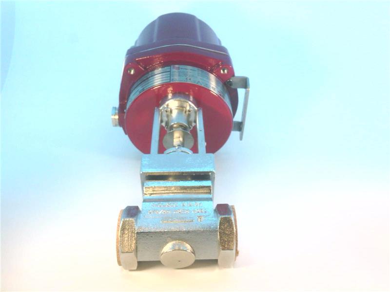 BADGER METER SEVA-100-M25-1.125-1/4-28-IP6