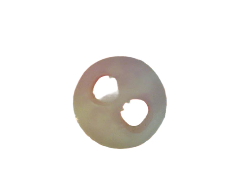 53616260 by LAPP USA