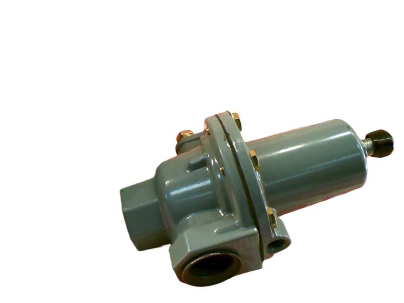 EMERSON NPS 1 289H