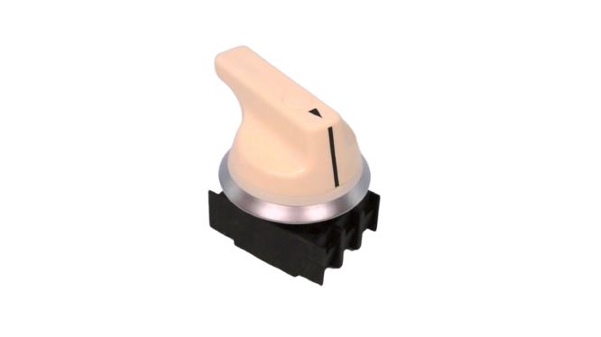 NWS21.1WS by SCHMERSAL