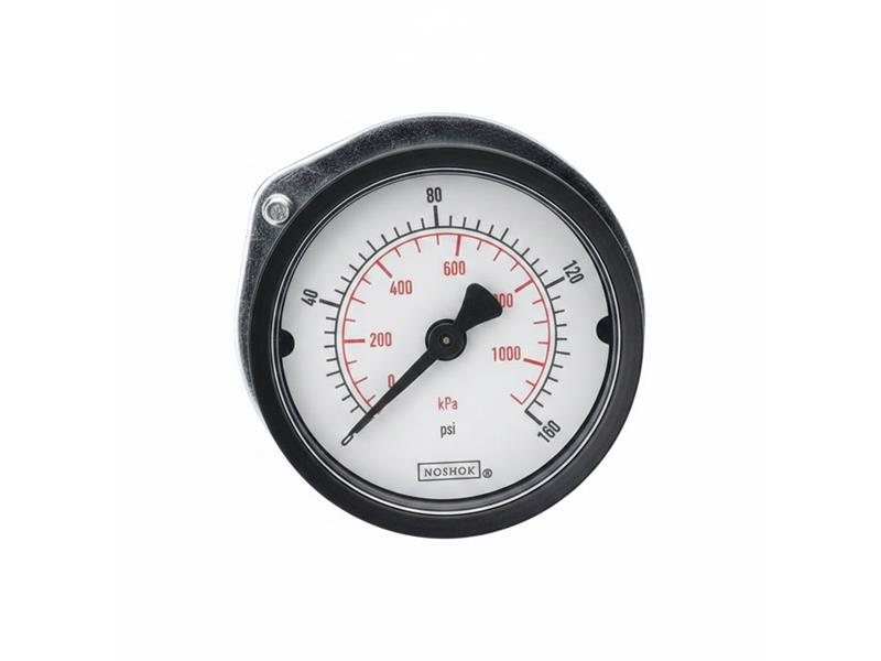 NOSHOK 20-110-60-PSI/BAR-BLFF-CC