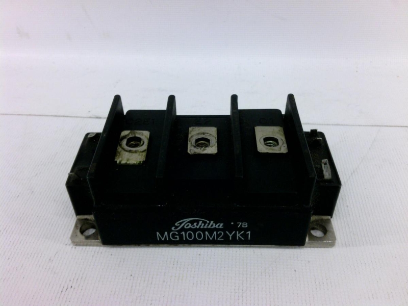 TOSHIBA MG100M2YK1