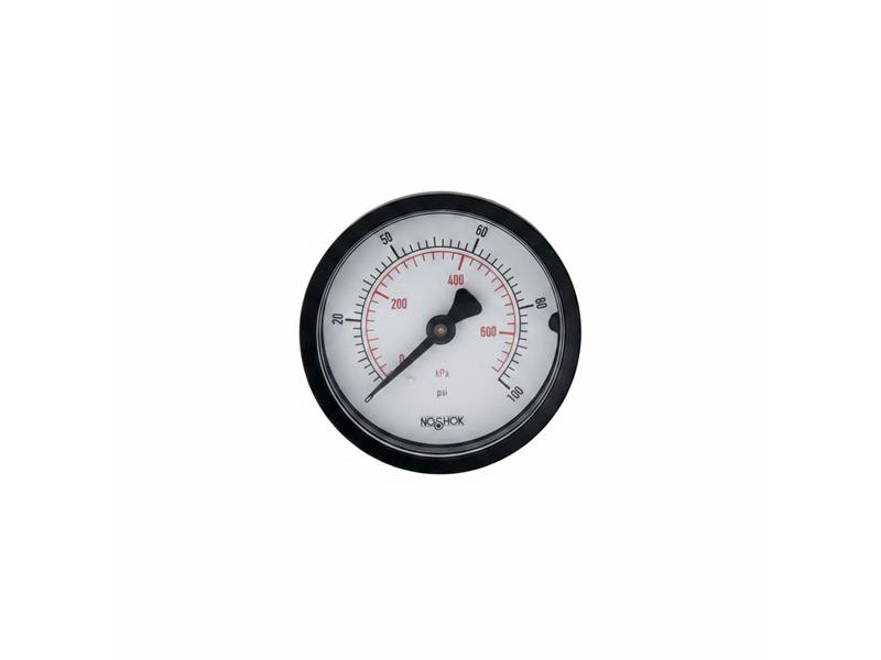 NOSHOK 20-110-60-PSI/KG/CM2-BP3
