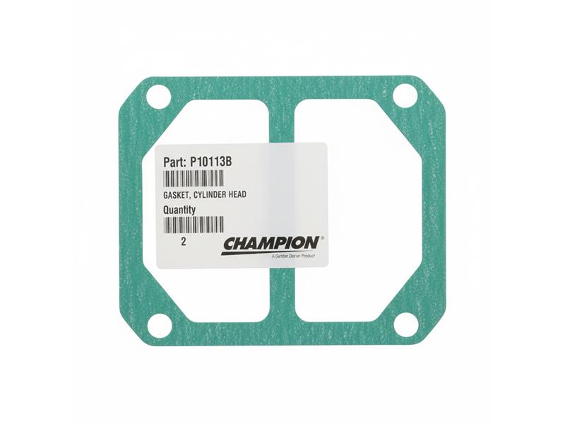 GARDNER DENVER P10113B