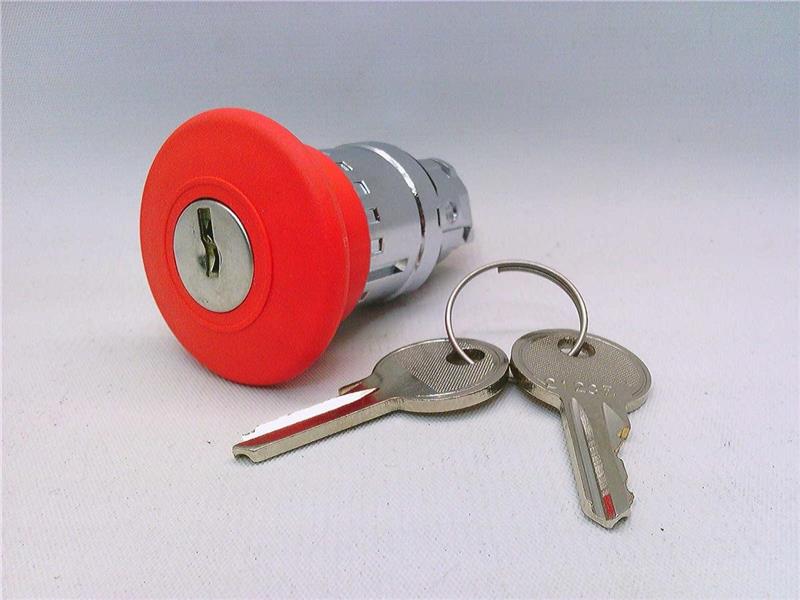 SCHNEIDER ELECTRIC ZB4BS944K