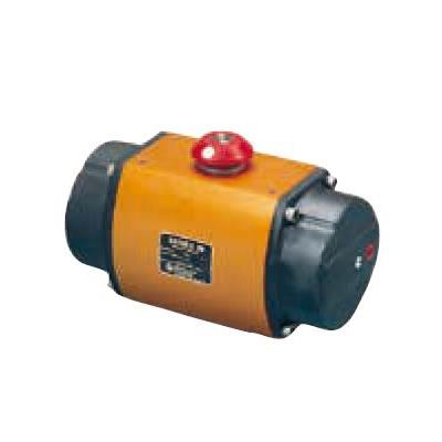 20IF39SZMS PBC 24 VDC by FLOWSERVE