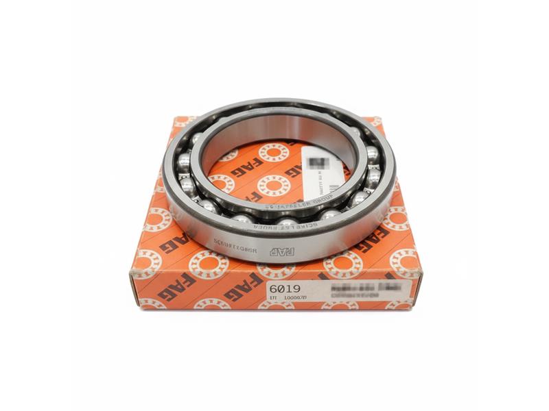 SCHAEFFLER GROUP 6019