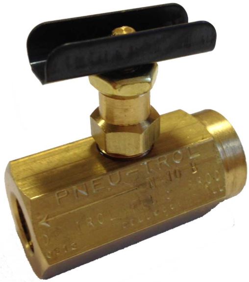 PNEUTROL INTERNATIONAL LTD N-10-B