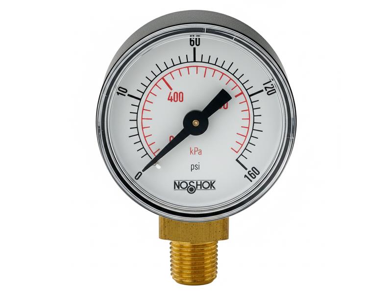 NOSHOK 15-100-100-PSI/BAR-BP3