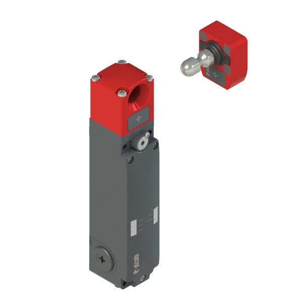 PIZZATO NG 2D1D411A-F31K110