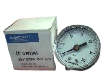 ASHCROFT 20W-1005-PH-02B-XZG-30