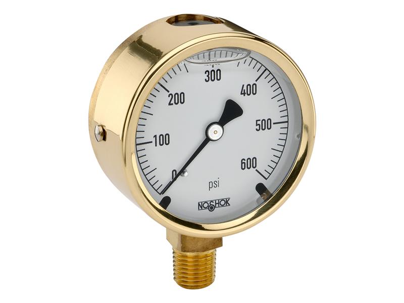 NOSHOK 25-300-60-PSI