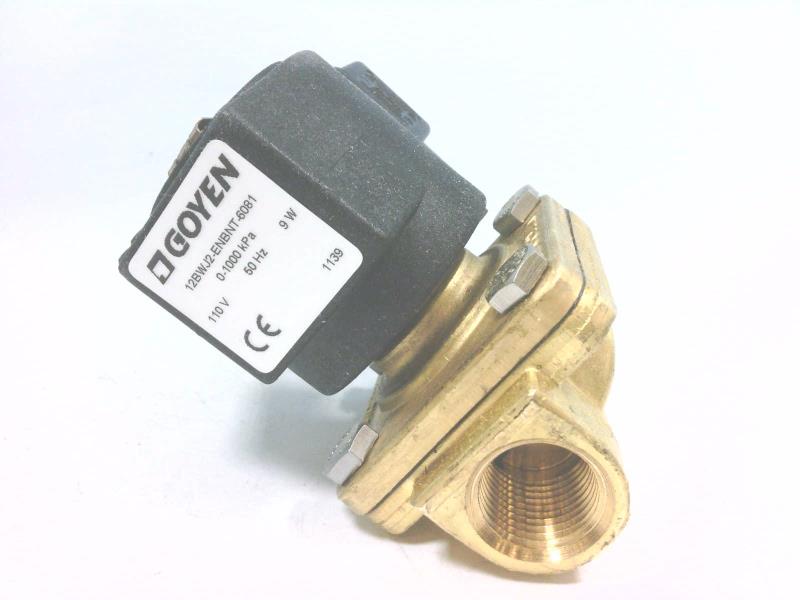 PENTAIR 12BWJ2-ENBNT-6081