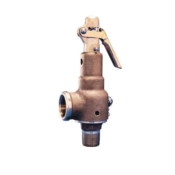 PENTAIR 6010GF01-AM0175